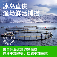 【臻选】女王与鲜生冰岛三文鱼刺身新鲜中段鱼腩鱼生大西洋鲑