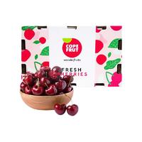 【超级桶】预售智利进口车厘子大樱桃5斤装送礼礼盒顺丰包邮