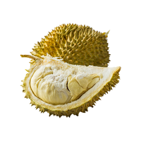 京鲜生 金枕巴掌榴莲2粒组合装 净重4-5斤  单粒1.8斤+ 保3房 源头直发