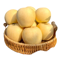 京鲜生山东烟台黄金维纳斯苹果 净重4.5斤 单果170g起 源头直发