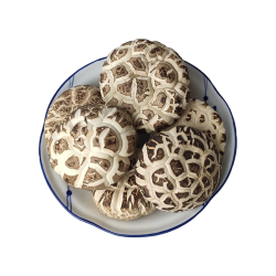 花菇哥 特产天白大花菇香菇3-8-13cm随州冬菇干货商楼家用农家食用菌蘑 大冬花菇500g-直径6~8cm