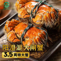 湖塘煙雨 阳澄湖大闸蟹鲜活螃蟹礼盒公3.5两母2.5两4对8只河蟹生鲜水产礼盒