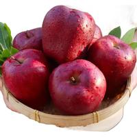 皇蔻甘肃天水花牛苹果 应季新鲜水果蛇粉面果刮泥 拍2份合发一箱 4.5斤装净重4.25斤单果80-90m m 甄选花 牛苹果