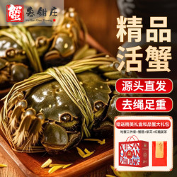 去绳足重、死蟹包赔！蟹叁钳庄 现货大闸蟹 公4.3-4.6两 母3.3-3.6两 4对8只礼盒装