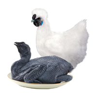 温氏 供港 乌骨鸡1kg 送赠品 温氏原切土鸡火锅片 250g