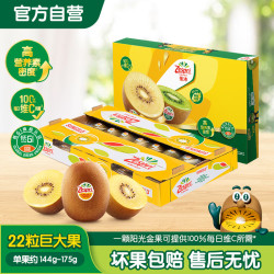 佳沛 新西兰 巨大果阳光金奇异果22粒原箱（单果146-175g）