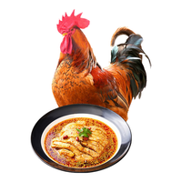 WENS 温氏 农养大公鸡 1.2kg