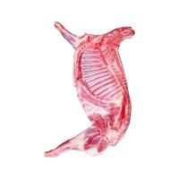 柒岛羊肉8斤10斤半只羊分割整只羊礼盒套餐食材年货 半只羊10斤【分割】