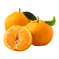 京觅 四川春见耙耙柑新年水果彩箱净重5斤单果70mm+源头直发