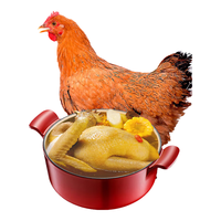 WENS 温氏 供港黄油鸡 1.2kg