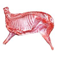 抱年羊肉新鲜现杀宁夏滩羊肉礼盒10斤羊排羊腿整半只带皮年货 半只羊8斤【分割】