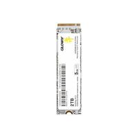 GW光威（Gloway）2TB SSD固态硬盘 M.2接口(NVMe协议) PCIe 4.0x4 长江存储颗粒 QLC 弈二代系列 弈二代-PCIE4.0 2T