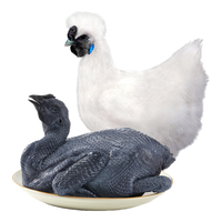 WENS 温氏 乌骨鸡 1kg