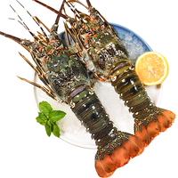 渔游记 YUYOUJI）印尼小青龙虾500g/2只