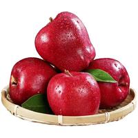 Mr.Seafood 京鲜生 天水花牛苹果 4枚礼盒装 单果200g起 粉面香甜 源头直发 1.6斤