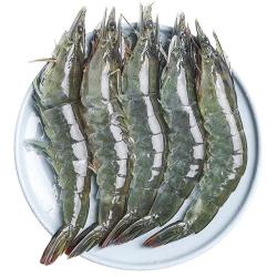鲜驰 大虾鲜活超大基围虾青岛特大青虾冷冻鲜对虾速冻海虾虾类海鲜水产 1400g 17-20cm