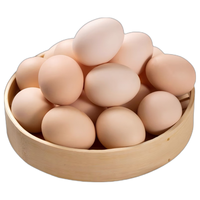 舌尖攻略 ×蛋墩墩 鸡蛋10枚/400g 早餐食材谷饲鲜鸡蛋土鸡蛋柴鸡蛋  破损包赔
