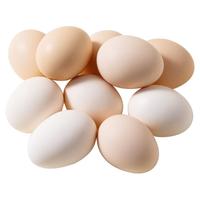 百亿补贴：芮瑞 50枚虫草蛋40-45克虫草蛋16枚新鲜农家散养虫草蛋营养蛋整箱