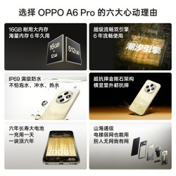 OPPO A6 Pro 16GB+512GB 流水生金 7000mAh大电池长续航 IP69防水 流畅抗摔耐用 5G智能手机