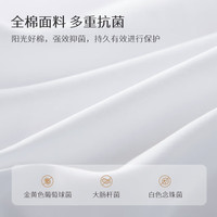 太湖雪 冬季蚕丝被100%桑蚕丝子母被 全棉面料被重约11.2斤2.2*2.4m白