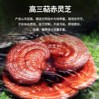 强贝冠有机破壁灵芝孢子粉 有机蓝帽双认证保健探病术后滋补品 5盒加强调理套餐（5月量）店长