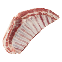 BECK/公羊 山区放养 羊排