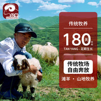 BECK/公羊新鲜羊肉羊排 法式羊排手抓羊肉山区放养羊肉烧烤肋排 法式战斧羊排2斤