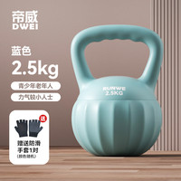 移动端、京东百亿补贴：帝威 壶铃女士提壶哑铃酪梨蓝 2.5kg