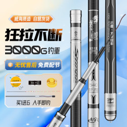 太宇 雲鲤 鱼竿套装 TY9024-T 黑色 5.4M 28调