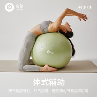 哈他 HATHA YOGA 瑜伽球 分区防爆瑜伽球65cm