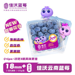 佳沃 云南蓝莓甜蜜花香系列 18mm+ 2盒装