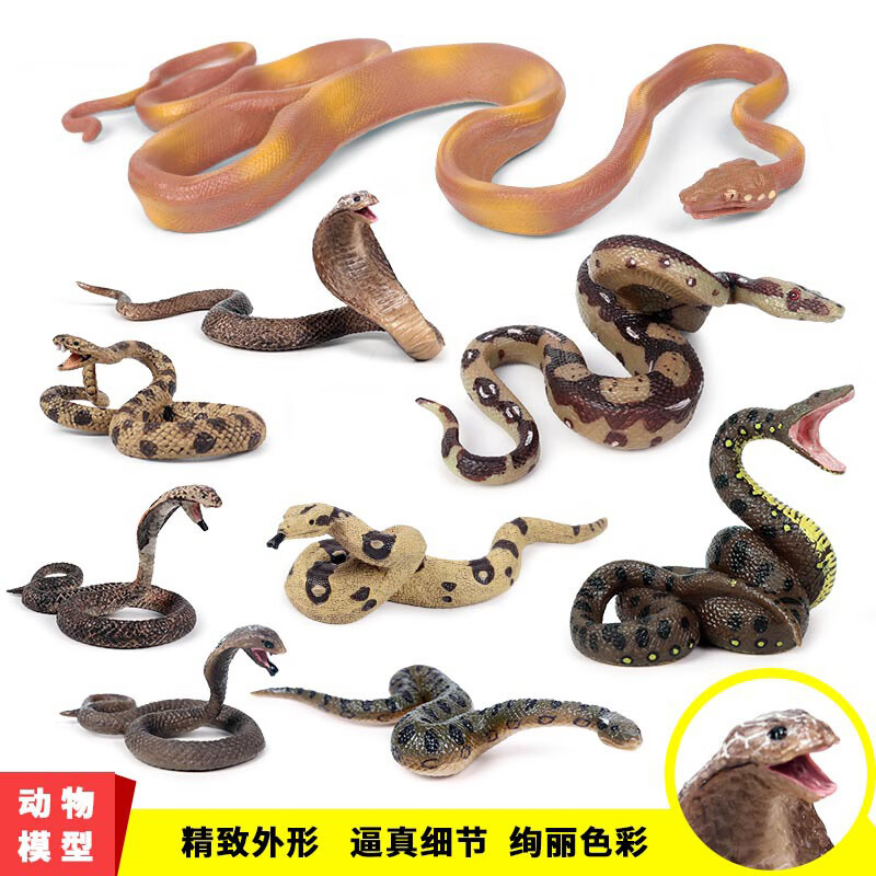仿真野生动物模型摆件手办爬行动物大蟒蛇眼镜蛇响尾树蟒 M-1613蟒