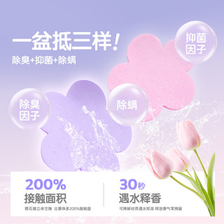 囧宝猫砂云朵绵绵水香花木薯猫砂除臭香味纯木薯猫砂木薯砂除臭猫砂 【买6送2】木薯猫砂2.5斤*8包