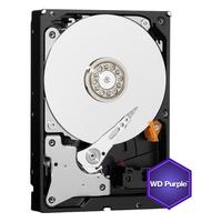 Western Digital 西部数据 紫盘系列 3.5英寸 监控级硬盘（CMR、5400rpm、256MB）