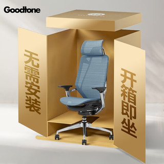 GOODTONE谷腾BIRCH电竞椅子人体工学椅护腰久坐办公家用人工力学电脑椅 黑框蓝网 【晒单返50元E卡】