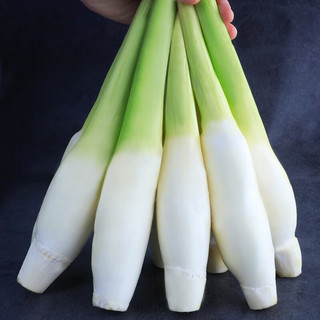 马保果茭白新鲜 农家蔬菜高山茭白当季蔬菜新鲜菜农产品农产品菜 3斤精选
