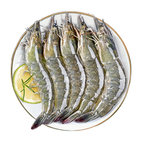 XIAN YAO 鱻谣 白虾 80-100只 2kg