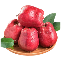 京鲜生 天水花牛苹果又大又红 12枚礼盒款 单果210g+ 源头直发 【精品礼盒】 12枚装