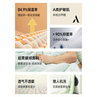8H A类超柔四季被宿舍春秋冬双人被芯抗菌被子保暖被