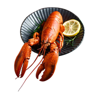 京鲜港 熟冻波士顿龙虾400g--450g/只
