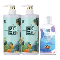 霸王洗发水 防脱去屑洗480g*2瓶+沐浴露400ml