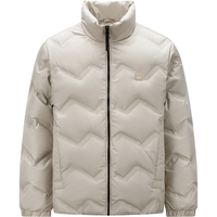 Semir 森马 x超级植物羽绒服男纯色精致时尚外套 贝壳卡（灰鸭绒）50255 175/92A/L