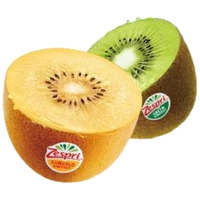 Zespri 佳沛 绿奇异果 优选经典果 单果90-100g 6个 礼盒装