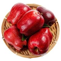 语森忆甘肃花牛特产苹果  拍2份合发一箱 心 选花牛苹果6 4.5斤装净重4.25斤 单果80-100mm*