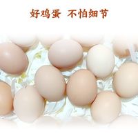 百亿补贴：芮瑞 50枚无抗鸡蛋50克高品质鲜蛋新鲜散养营养蛋现捡现发16枚