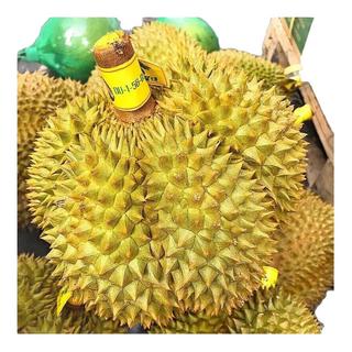 芫曦榴莲金枕新鲜果整箱一整个带壳泰国巴掌金枕头榴莲一箱 8-10斤(2-4个装)