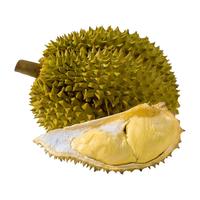京鲜生 金枕头榴莲 巴掌榴莲 1-1.5kg 1个装 新鲜水果