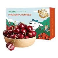京觅 智利 车厘子 JJ级 单果果径28-30mm 900g 礼盒装