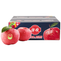 佳农烟台红富士苹果 净重4.8斤 单果200g以上 礼盒装 生鲜水果