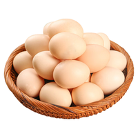 耕果妙濮阳土鸡蛋10枚*40g新鲜农家散养笨鸡蛋柴鸡蛋源头直发